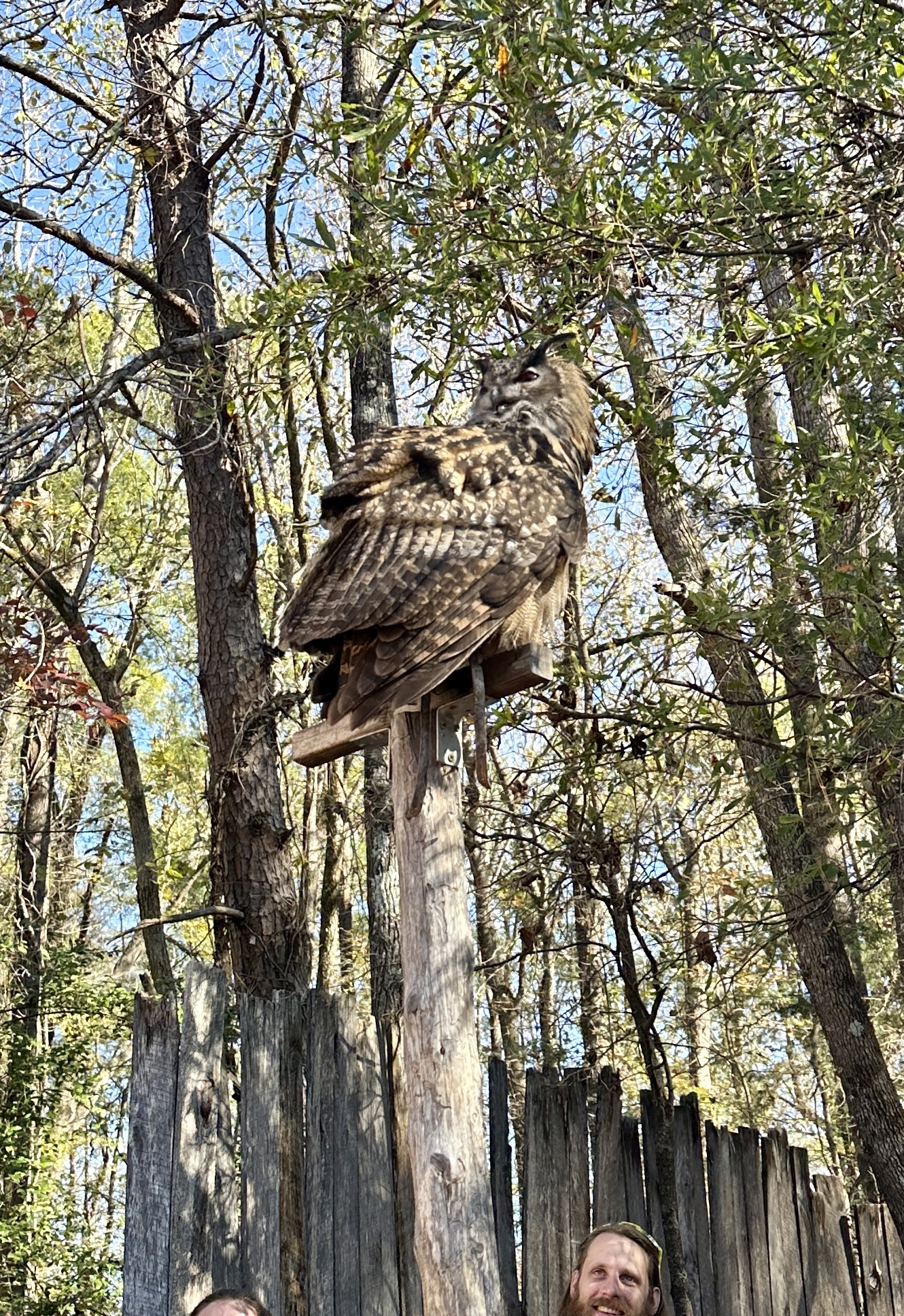 Ren Faire 24
